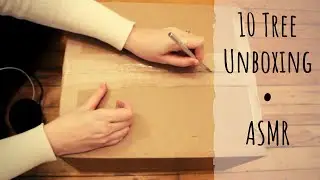 TenTree Mystery Bag Unboxing (ASMR)