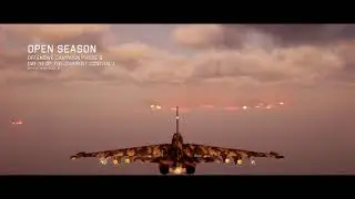 Woodward plays Project Wingman (Unedited Stream - Finale)