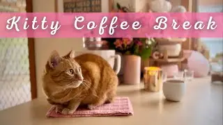 Relaxing jazz & cute ginger cat in a warm & cozy kitchen