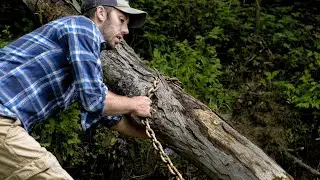 The Aspiring Logger - No Music or Talking