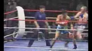Sinbi Taewoong Thopadak HL