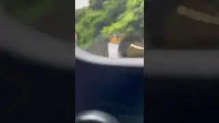 今週もお疲れさまでした🫶こんなワンシーンに音楽をつけるとしたら、こんな音楽かなぁ