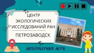 Трогаем бобра и заглядываем в дупло дятла