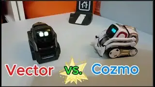 Cozmo vs. Vector, What is the difference between Cozmo and Vector?