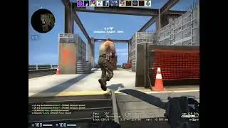 Loyal Gamming - Higlights faceit