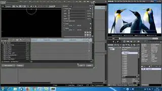 how to zoom in edius