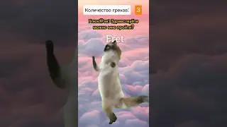 Собака Ограбила рай 😱 