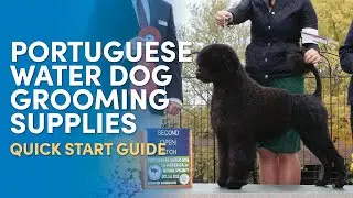 Portuguese Water Dog Grooming Supplies: Quick Start Guide
