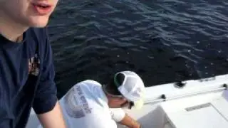 Fish on the Boat...