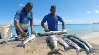 A Successful Day - How Spearfishing Made a Huge Impact on My Life