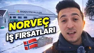 NORVEÇ İŞÇİ VİZESİ ALMAK (İŞÇİ ALIMINDA ZİRVEDE) | NORVEÇ İŞ FIRSATLARI #norveç #norveçteyaşam