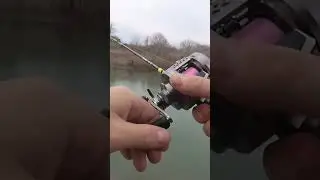 Первый трофей 2024 г. #fish #fishing #рыбалка #рыбалканаспиннинг