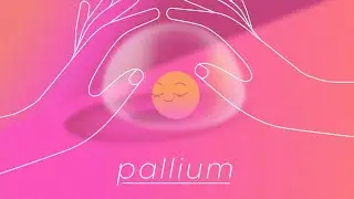 Rethinking Palliative Care