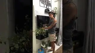 As plantas estão muito secas 😌