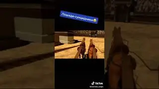 лошади-суицидники🤣🤣🤣🤣🤣🤣🤣