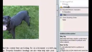 MS Word: Accessibility Checker - Image Alt text