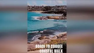 Bondi to Coogee coastal walk