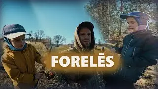 BĒRNI ĶER PIRMĀS FORELES, FOREĻU DĪĶI