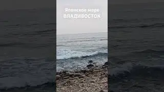 14 июля 2024 г.
