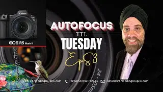 TTL Tuesday Episode 3 | Canon EOS R5 Mark II Autofocus: Live Samples and Performance Review