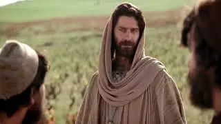 Workers In The Vineyard(Kingdom)