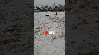 Аджилити в холодное время года.