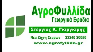 Αγροφυλλίδα