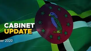 Cabinet Update: 15th December, 2020