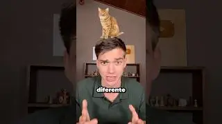 Cómo escuchan a los gatos en cada país 🤯