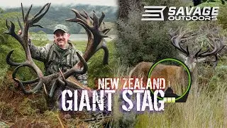 GIANT STAG Hunting in NEW ZEALAND
