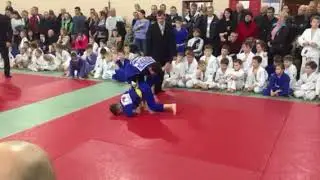 Соревнования по дзюдо в Берёзках