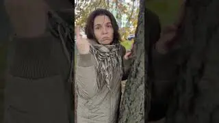 когда быстро не найти партнёра для самопроб.