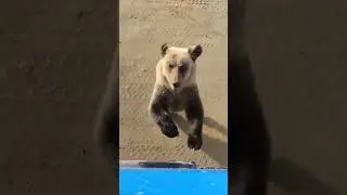 My friend is running towards me.