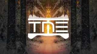 IiI Wayne & CharIie Puth - Nothing But Trouble (Made Monster & Big Syphe Remix)