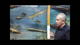 Зоомузей ДНУ. Экскурсия.