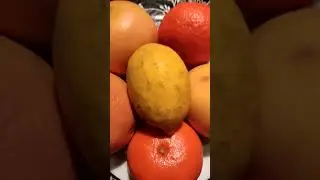 КАК УСКОРИТЬ РОСТ АНТУРИУМА???