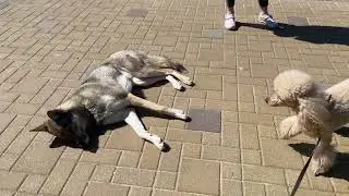 Ты просто злишься на меня...😨