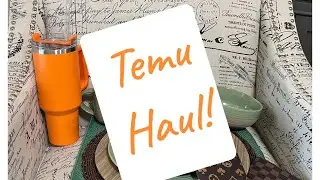 Temu Haul plus a Nicewell electric portable kettle!!!!