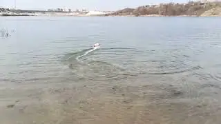 Управляемый задний ход .