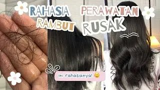 PRODUK HAIRCARE LOKAL INI EFEKTIF ATASI BERBAGAI MACAM MASALAH RAMBUT!! | REVIEW GINSELA HAIRCARE