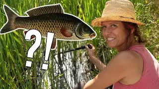 CARPA NELLO STAGNO. LA STORIA DEL PESCE VOLANTE DEL MIO LAGHETTO