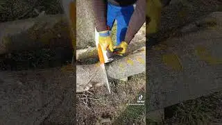 STIHL  MSA 161T