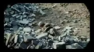Сектор Газа - Туман