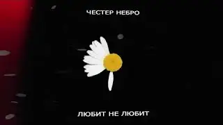 Честер Небро - Любит не Любит (премьера 2024) ТЕКСТ 🔥🔥🔥