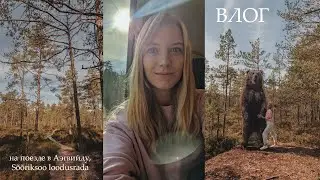 ВЛОГ: Такое утро я бы повторила