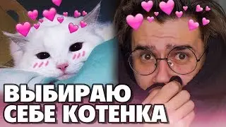 САМЫЕ СМЕШНЫЕ КОТЯТА И ЩЕНКИ | САМОЕ МИЛОЕ ВИДЕО В МИРЕ | Смешные Кошки и Собаки | Приколы с котами