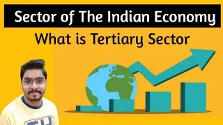 Sector of The Indian Economy Class 10 CBSE ll Tertiary Sector ll Service Sector ll nep class