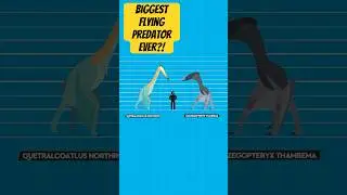 What's The Largest Flying Animal Ever? #predators #naturalhistory #dinosaurfacts