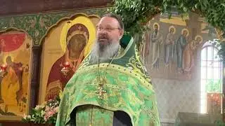 Пресвятая Троице, Боже наш, слава Тебе!
