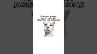 Почему жизнь парня легче?